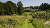 Dogs able to enjoy 12-acre 'haven of wildlife and beautiful flowers' this summer