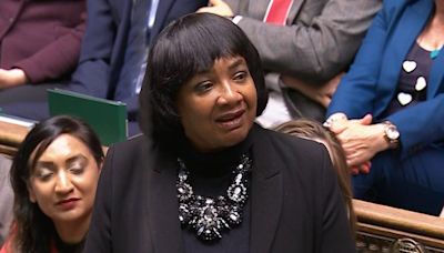 Diane Abbott speaks for first time as Mother of the House