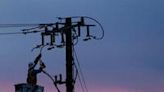 Wrong again: PUC move won't lower electric bills | Thomas Elias