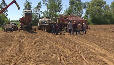 Potato growers from the Philippines eager to learn from P.E.I. industry