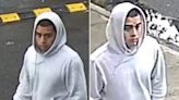 Hooded stranger gropes 9-year-old Brooklyn girl on way to school