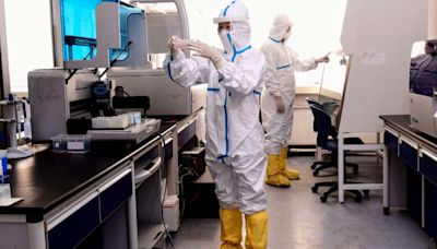 OPINIÓN | El nuevo virus encontrado en China es otra amenaza difícil de predecir