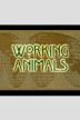 Working Animals