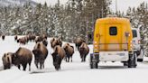 Take a Snowcoach Through Yellowstone in the Winter