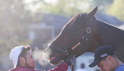 A Clemson win at the Kentucky Derby? This highly rated thoroughbred bleeds orange