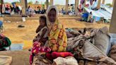 Unruly RSF fighters sow chaos in Sudan's farming heartland