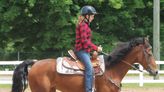 Columbiana County Saddle Horse Committee to hold vendor fair