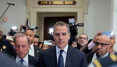Hunter Biden Asks Judge To Exclude From Gun Trial ‘Unfair’ Information About Extravagant Lifestyle, Paternity ...