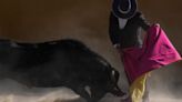 Bullfighting Ban Faces Critical Legislative Vote In Colombia