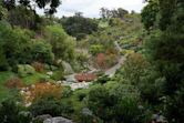 Japanese Friendship Garden (Balboa Park)