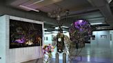 ‘There’s beauty in everything’: Designer Bernard Chandran returns with art exhibition that breaks away from traditional format