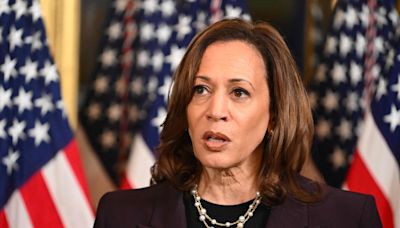 Kamala intensifica busca por vice com capacidade de assumir a Presidência e alinhado em pautas econômicas