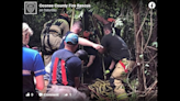 Dog falls 35 feet into well — then Georgia firefighters rush in, photos show