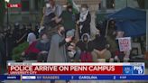 Police begin to dismantle UPenn protests