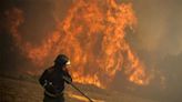 La nueva ley regula por fin a los bomberos forestales de todo el territorio nacional