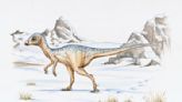 Were dinosaurs warm or cold blooded? New clues in their bones say both