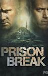 Prison Break - Season 5