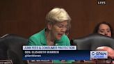 "I have never seen bumper sticker, 'I Heart Junk Fees'": Liz Warren hits GOP for blocking efforts to limit junk fees.