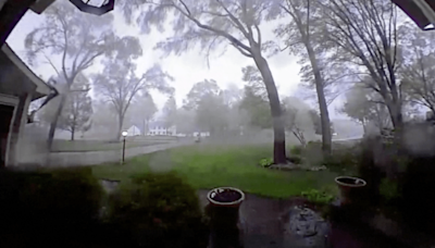 Doorbell video shows Michigan tornado leveling nearly every tree in sight