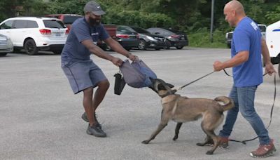 USPS shares ways to prevent dogs from attacking postal service workers