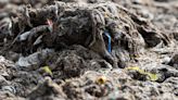 Scottish Water’s adopting new signage to urge customers to 'bin the wipes'