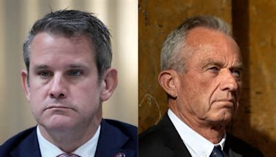 Adam Kinzinger suggests RFK Jr’s campaign was ‘hijacked by MAGA’