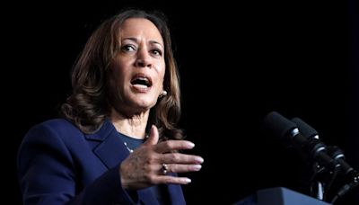 Kamala Harris Came Within 20 Feet of a Pipe Bomb on Jan. 6