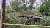 ‘In an instant’: Henry County man recalls moments after massive tree crashes down on his home