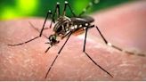 As dengue cases breach 8,000-mark, Karnataka govt sets up ‘war rooms’ to combat outbreak
