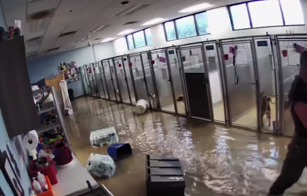 Suburban Chicago animal shelter needs help after devastating flood