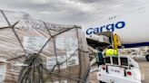Wait for airfreight recovery could extend deep into 2024