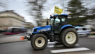 Législatives 2024 : Des « fourches » contre les écolos et un parlementaire contre les dreadlocks