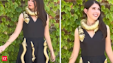 Google engineer wows internet with 'robotic Medusa dress' which is both creepy and cool