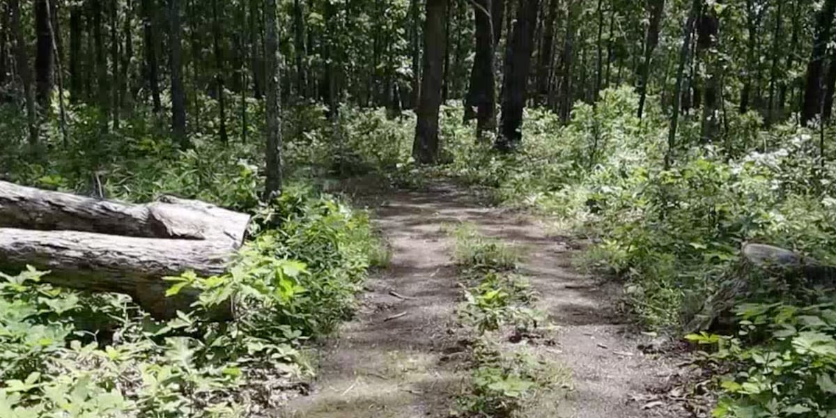 Investigators use tree DNA to solve stolen trees case in Mark Twain National Forest