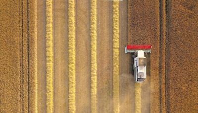 Política Agrícola: inovação institucional e reengenharia | Agro Estadão