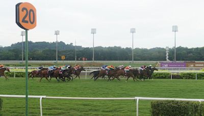 Singapore Ends 181 Years of Horse Racing to Make Way for Homes