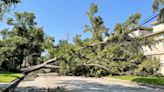 Heat drives Texans to sleep in cars as Beryl spins tornadoes in NY state: Updates