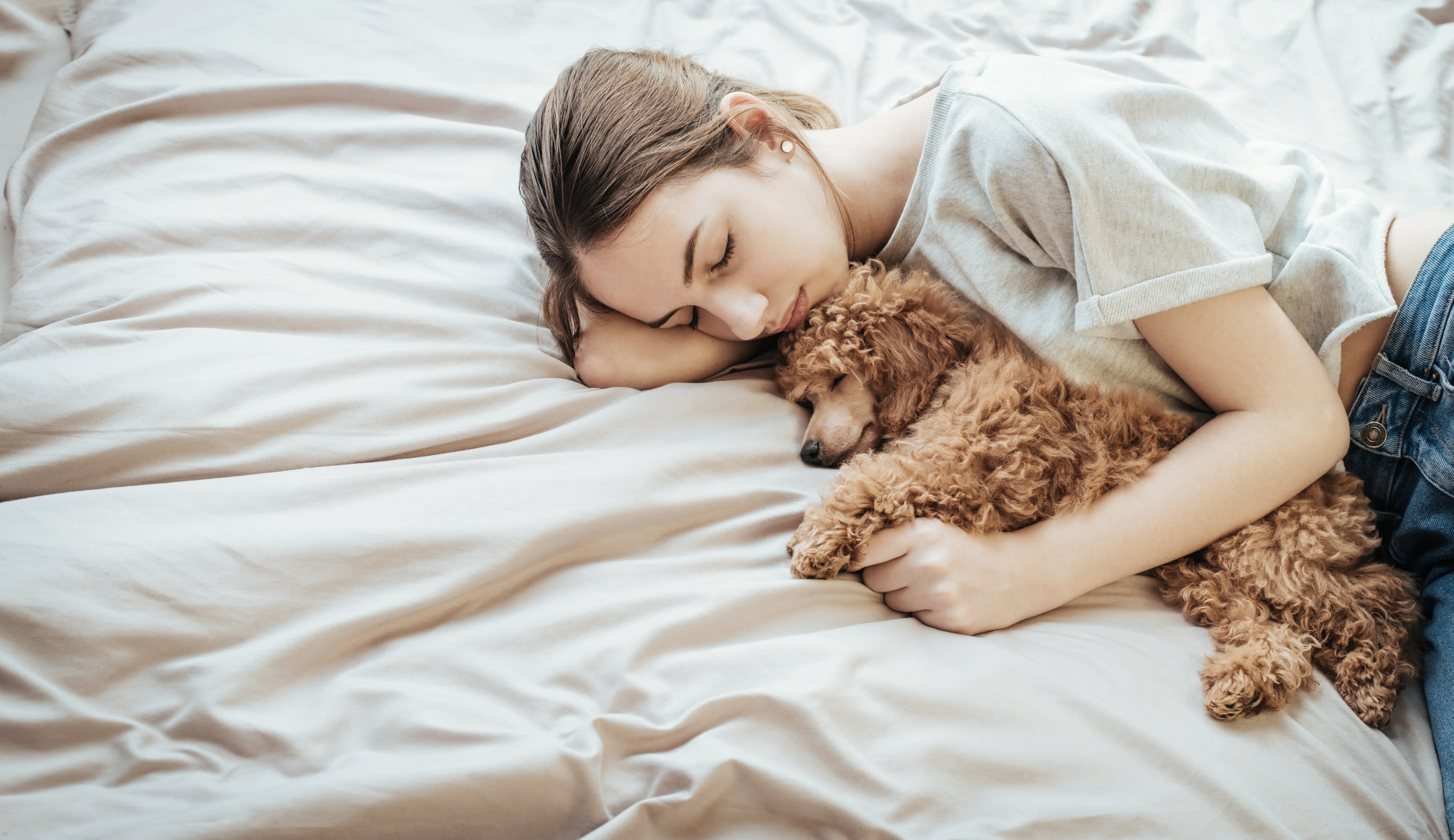 Sleeping with your dog in your bed is divisive—What do the experts say?