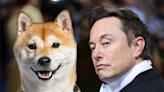 Pumped by Elon Musk, Dogecoin gains amid slow market recovery