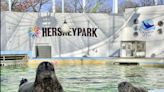 Hersheypark announces arrival of new marine mammals