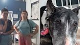 Mujeres roban perrito de su vecina y lo llevan a sacrificar a una veterinaria