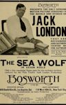 The Sea Wolf (1913 film)