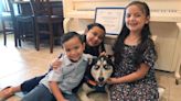 Neglected Husky Dog Gets a Second Chance and Helps Pet Nonprofit Reach 10 Million Adoptions