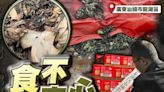 汕頭知名橄欖菜生產環境似垃圾堆 監管局查封產品