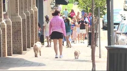 Shoppers excited about changes coming to Country Club Plaza