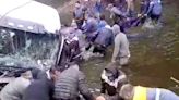 Video: un camión que transportaba vacas cayó al río Luján y los vecinos las faenaron en el acto