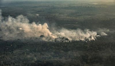 Amazônia se torna o maior emissor de gases de efeito estufa do mundo