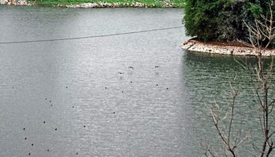 From lower depths, Handenahalli Lake back to life