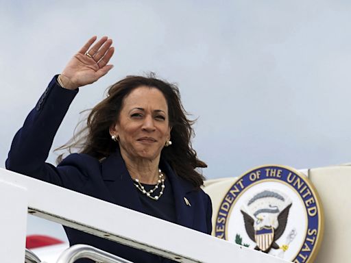 US polling "Nostradamus" reveals who he thinks Harris should pick as VP