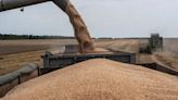 Russian exporters restricted in UN WFP tenders, flour orders drop